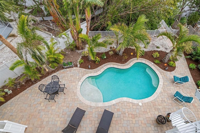 view of swimming pool with a patio area