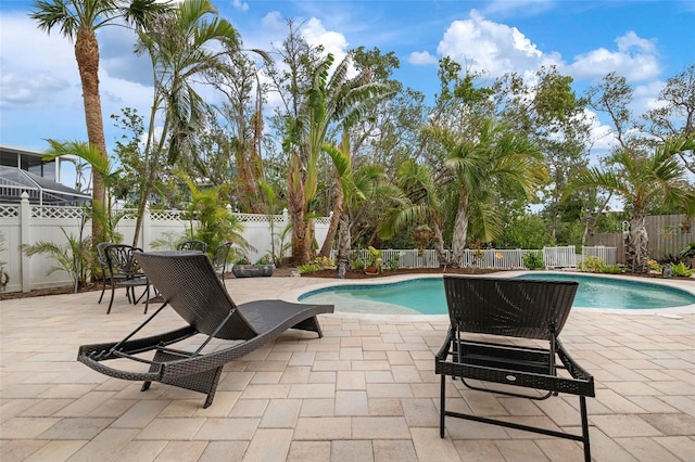 view of pool with a patio