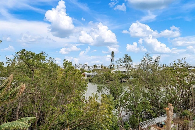 view of local wilderness with a water view