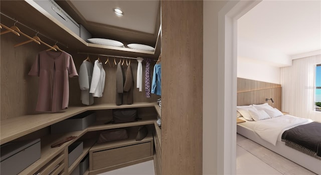 view of walk in closet