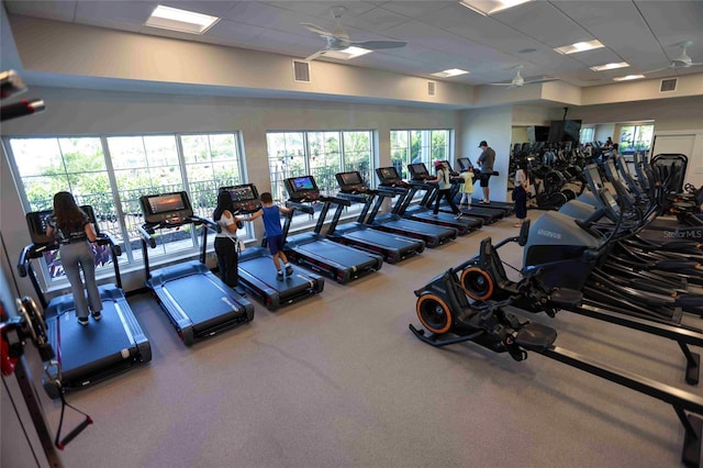 gym with ceiling fan, a drop ceiling, and carpet