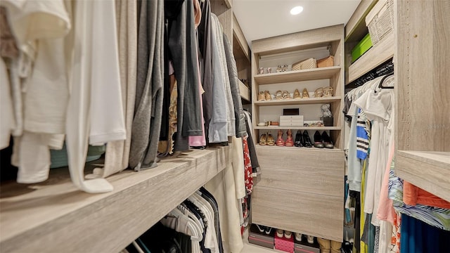 view of spacious closet