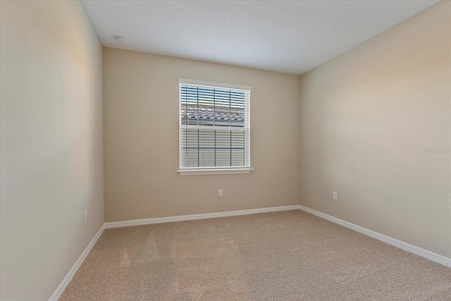 empty room featuring carpet