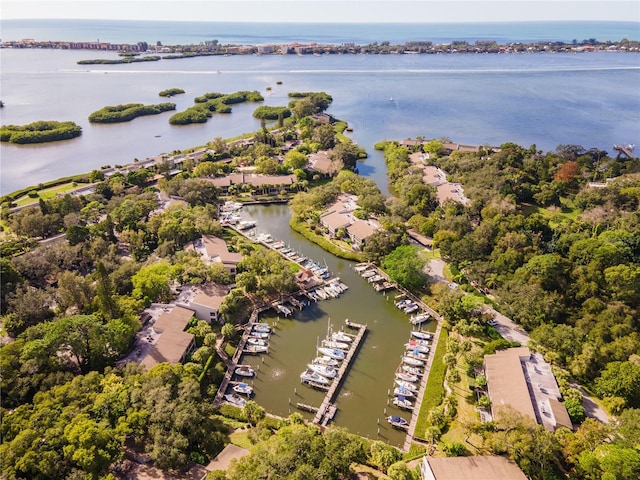 bird's eye view with a water view