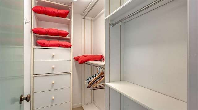 view of walk in closet