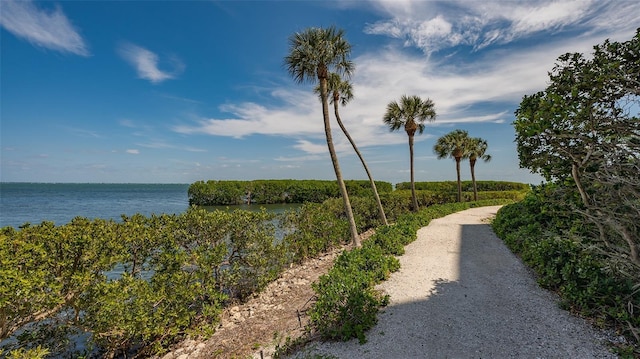 property view of water