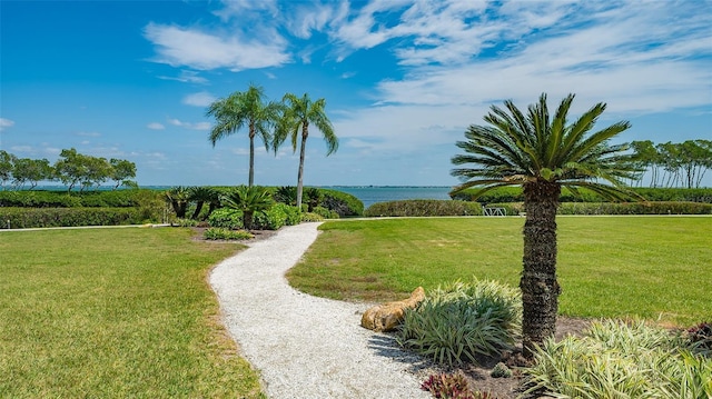 view of community featuring a water view and a lawn