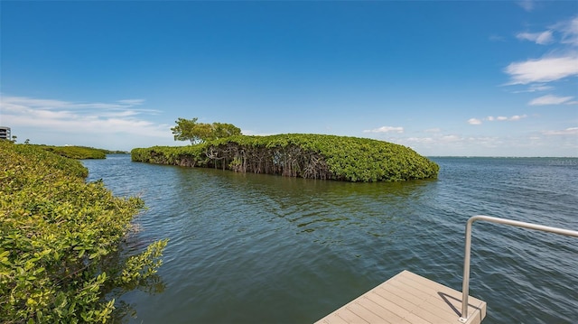 dock area with a water view