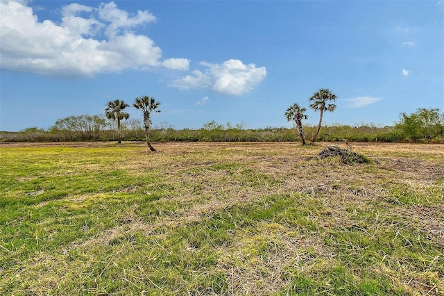 view of nature with a rural view