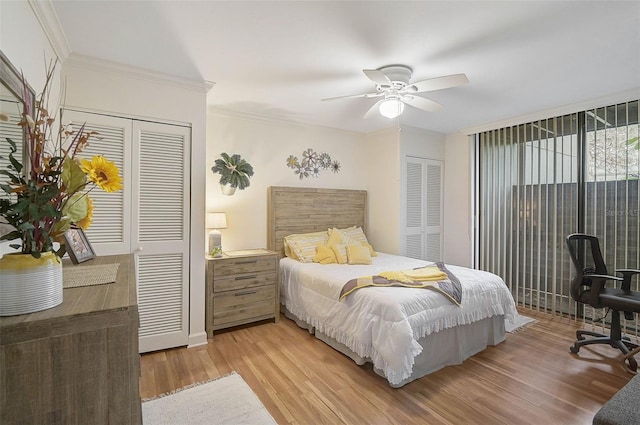 bedroom with ceiling fan, light hardwood / wood-style floors, ornamental molding, and multiple closets