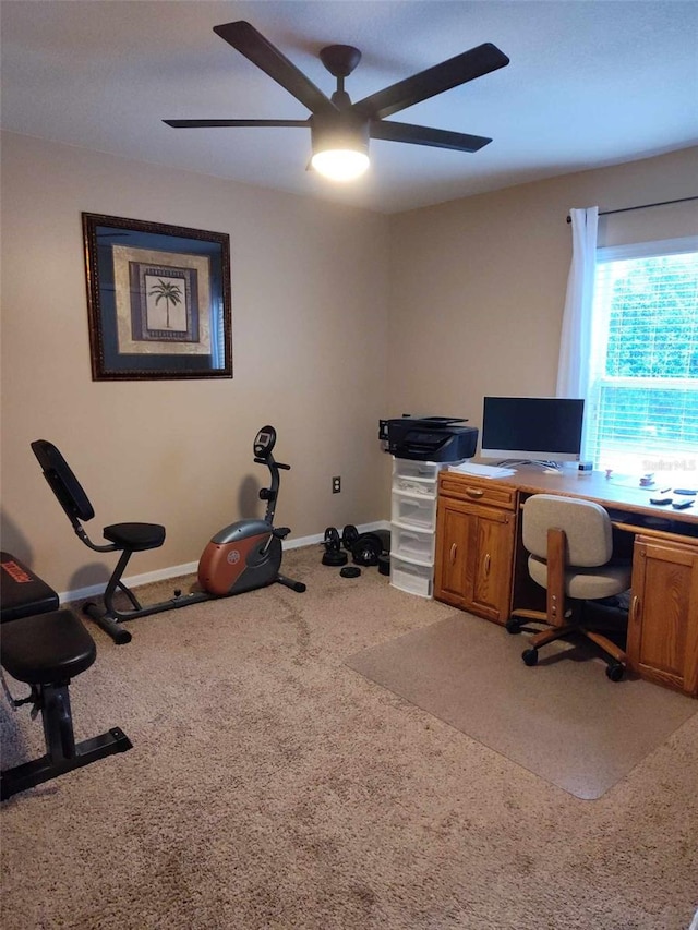 office with ceiling fan and carpet flooring