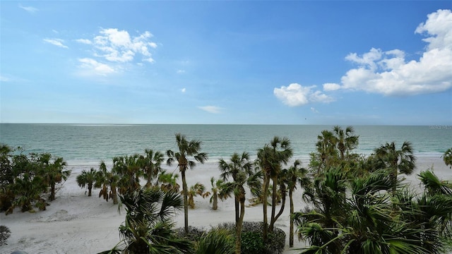 property view of water featuring a beach view