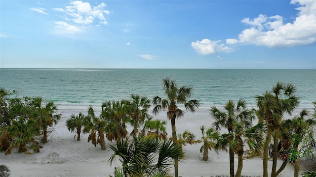 water view featuring a view of the beach