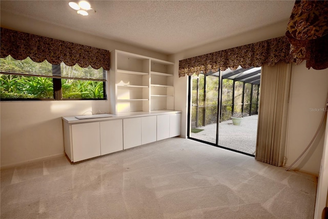 empty room with light colored carpet and a textured ceiling