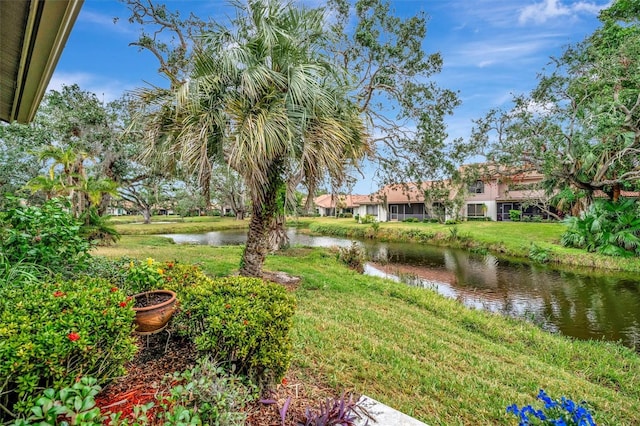 view of yard with a water view