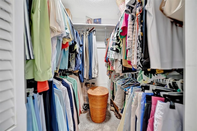 spacious closet with carpet flooring