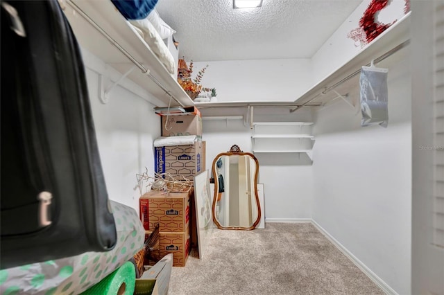 walk in closet featuring light carpet