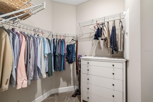 view of spacious closet