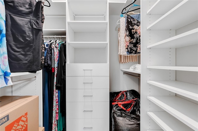 view of spacious closet