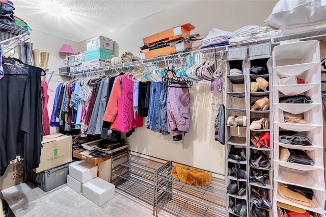 walk in closet featuring carpet floors