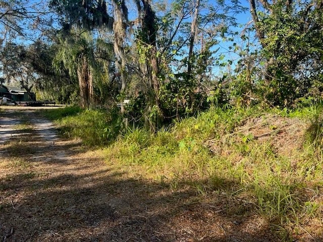 4122 N Lockwood Ridge Rd, Sarasota, FL 34234 - exterior space