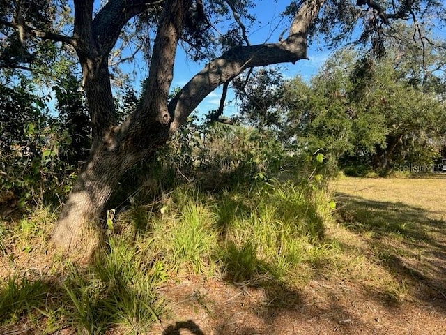 4122 N Lockwood Ridge Rd, Sarasota, FL 34234 - view of local wilderness