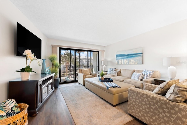 living room featuring hardwood / wood-style flooring