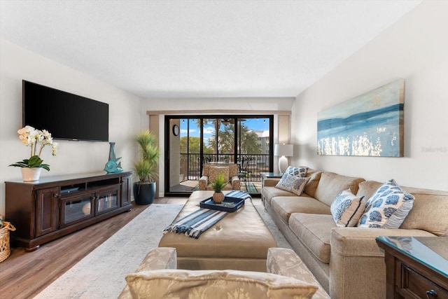 living room featuring light hardwood / wood-style floors