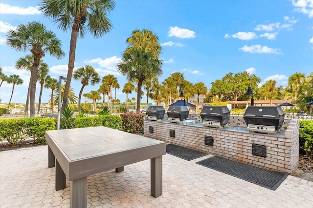 view of patio / terrace with area for grilling and exterior kitchen