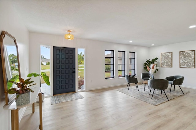 foyer with light wood-type flooring and a wealth of natural light