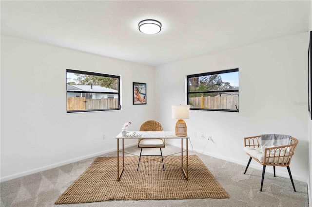 view of carpeted office space