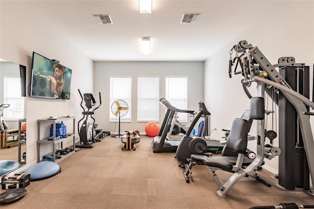 workout area featuring a healthy amount of sunlight and light colored carpet