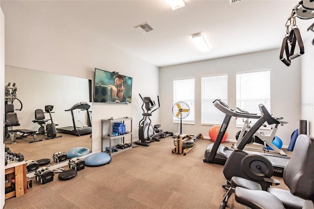 exercise room with carpet