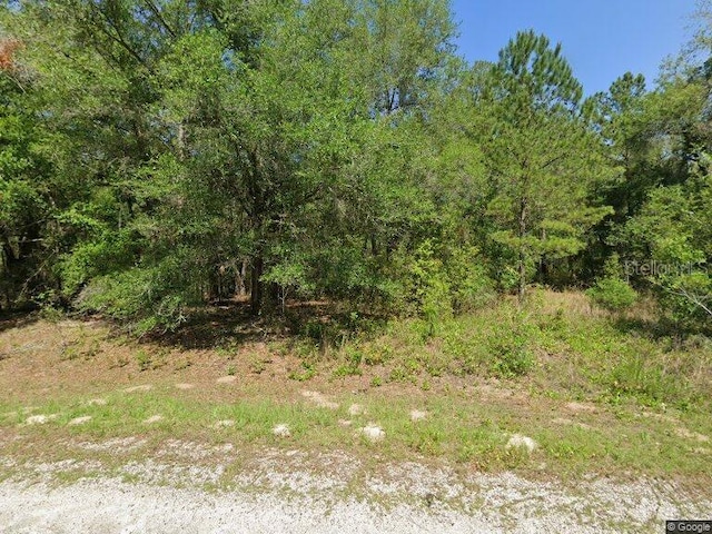 1525 E Badger Dr, Dunnellon FL, 34434 land for sale