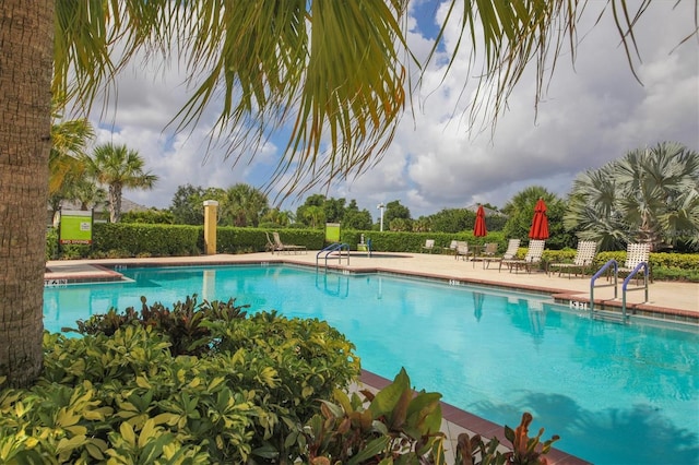 view of pool with a patio area