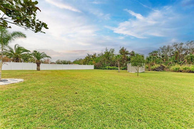 view of yard featuring a storage shed