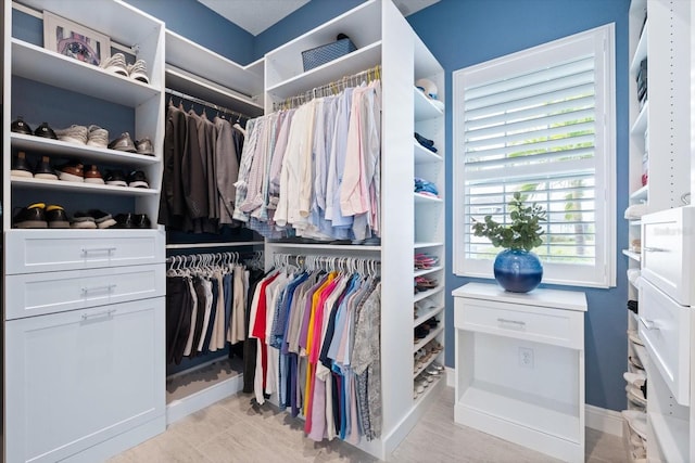 view of walk in closet