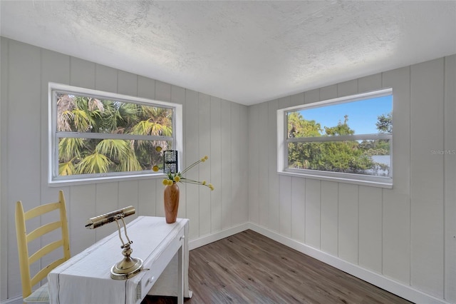 office featuring plenty of natural light, a textured ceiling, and hardwood / wood-style flooring