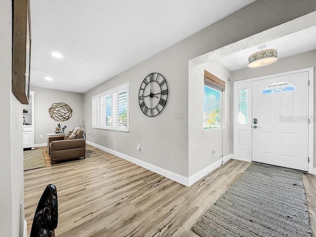 foyer with a wealth of natural light and light hardwood / wood-style flooring