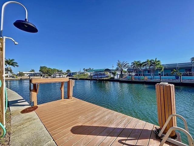 dock area with a water view