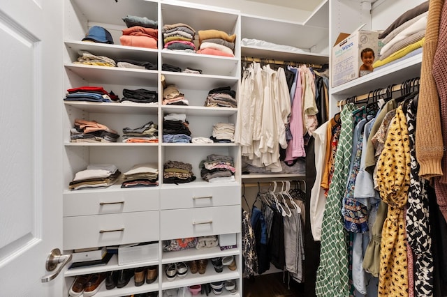 view of spacious closet