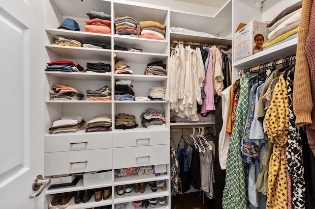 3409 Anchor Bay Trl, Lakewood Ranch, FL 34211 - view of spacious closet