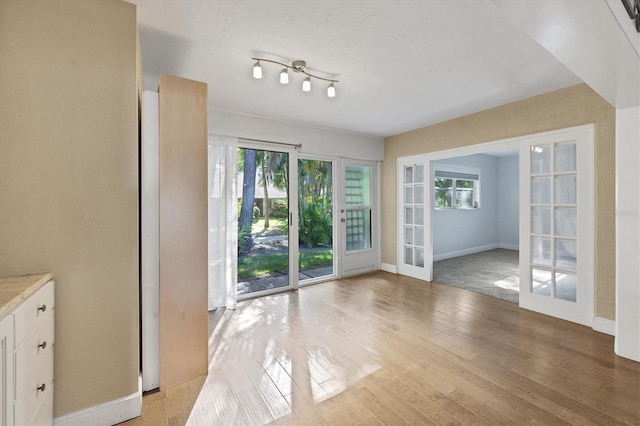 interior space featuring light hardwood / wood-style floors, a wealth of natural light, and french doors