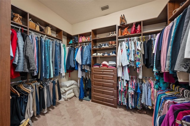 spacious closet with carpet floors