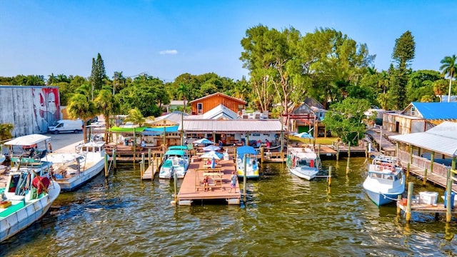 dock area featuring a water view