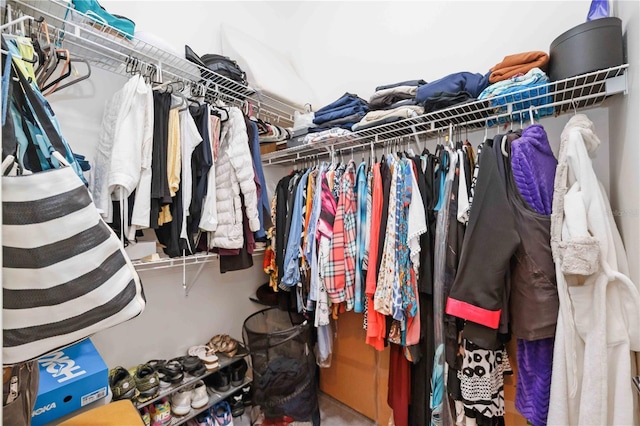 view of spacious closet