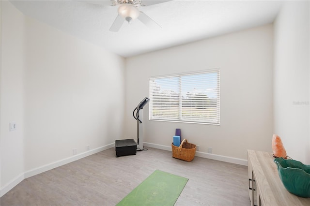 exercise area featuring ceiling fan and light hardwood / wood-style floors