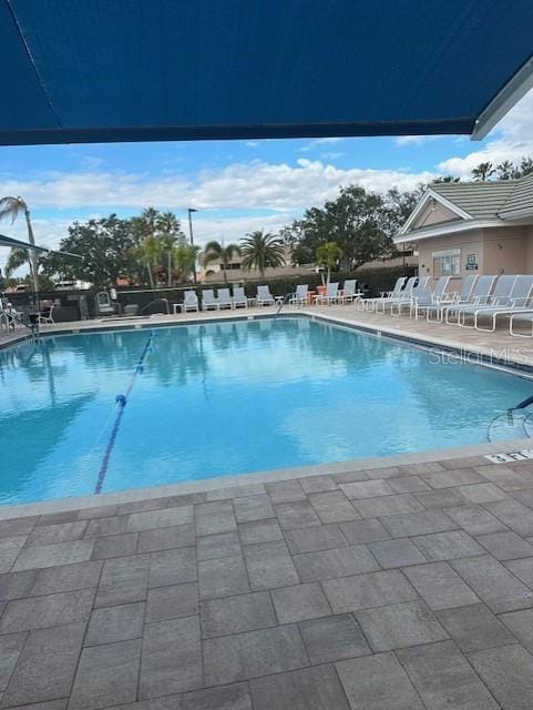 view of pool featuring a patio area