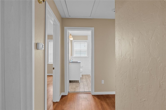 hall with wood-type flooring