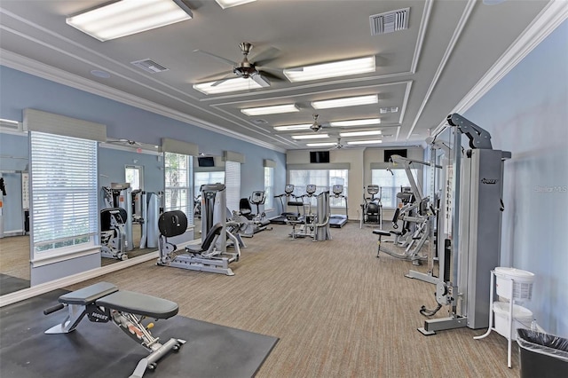 workout area with ornamental molding, ceiling fan, and carpet flooring